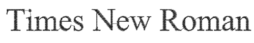 Times New Roman